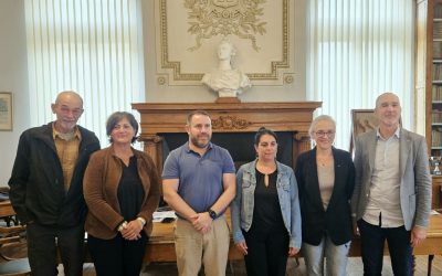Tribune : LGV du Sud-Ouest, le COI ramène les rêveurs à la réalité
